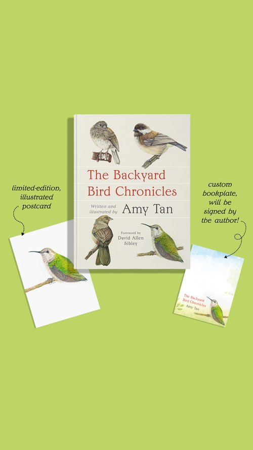 Backyard Bird Chronicles (w/ Signed Bookplate & Postcard!)